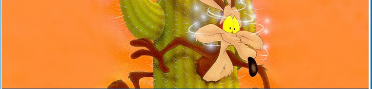 Will Coyote images : The Looney tunes spot
