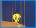 Tweety bird Image : Looney Tunes Spot