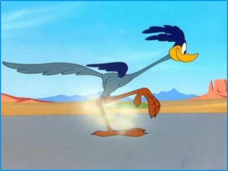 Looney Tunes Image : Road Runner