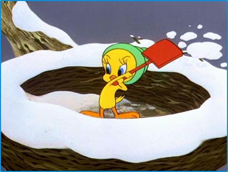 Looney Tunes Image : Tweety Bird