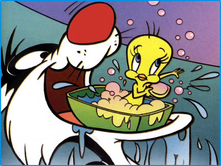 Looney Tunes Wallpaper : Sylvester